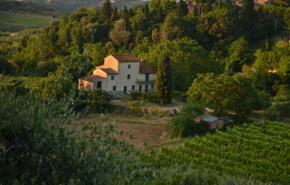 Картинка Панорама, Дом, Италия, Nature, Landscape, Italy, Тоскана, Italia