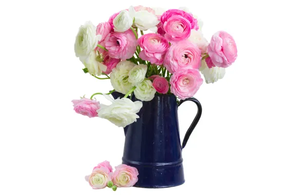 White, pink, розовые цветы, flowers, beautiful, лютики, ranunculus