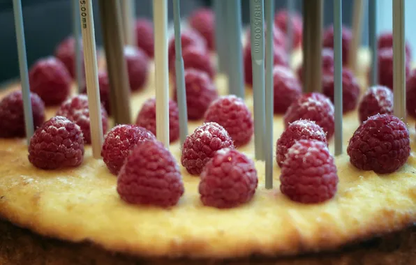 Картинка макро, еда, Raspberry Cake