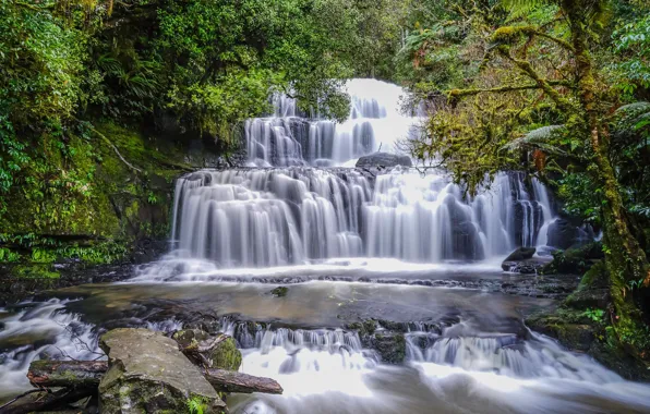 Картинка лес, водопад, Новая Зеландия, каскад, New Zealand, Purakaunui Falls, Catlins