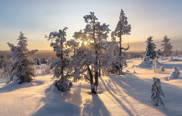 Картинка зима, снег, Финляндия, Finland, Akaslompolo, Kuer Fell