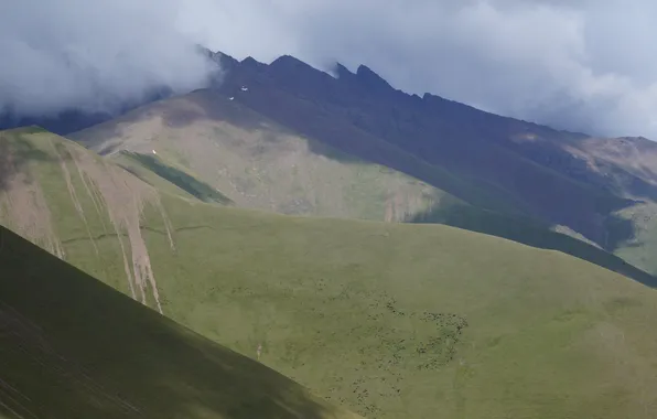 Пейзаж, горы, природа, landscape, nature, mountains, кавказ, caucasus