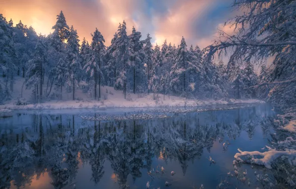 Картинка зима, лес, деревья, пейзаж, природа, река, ели, Норвегия