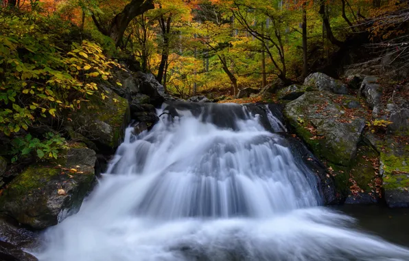 Осень, лес, камни, водопад, глыбы