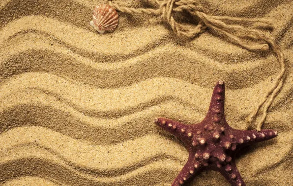 Картинка песок, ракушки, морская звезда, beach, texture, sand, marine, starfish