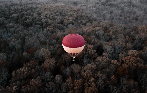 Осень, лес, полет, воздушный шар, высота, Вирджиния, США, Америка
