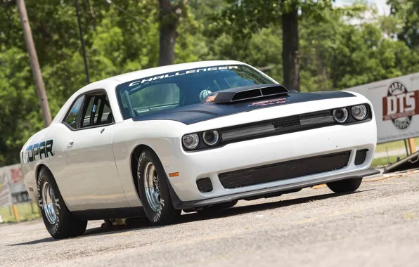 Картинка Dodge, Challenger, Mopar, 2015, Drag Pak