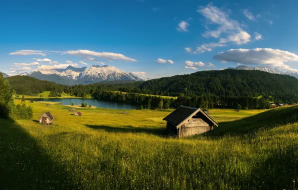 Поле, трава, свет, горы, Альпы, луг, панорама, домики