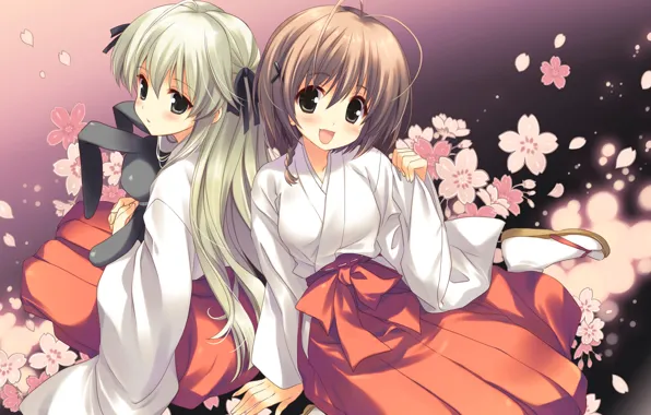 Цветы, лепестки, кролик, art, подруги, kasugano sora, yosuga no sora, жрицы