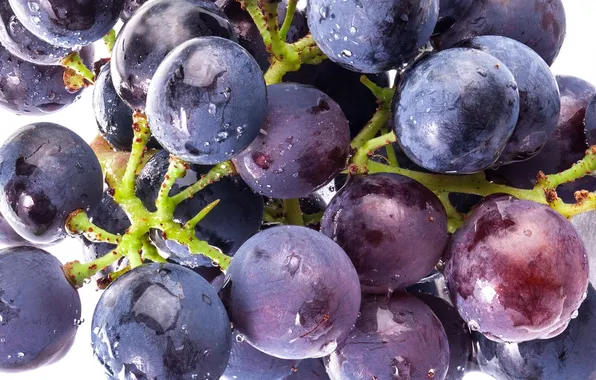 Картинка синий, ягоды, berry, виноград, гроздь, blue, Grapes, raceme