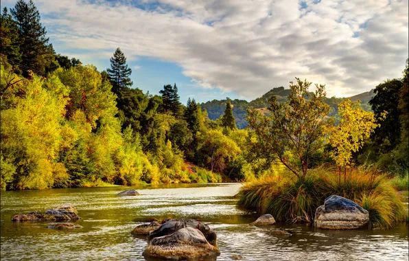 Картинка осень, облака, деревья, река, камни, Калифорния, США, кусты
