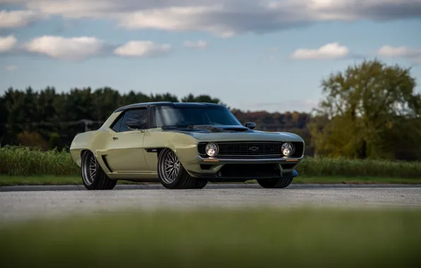 Дерево, Дорога, Трава, Chevrolet, 1969, Camaro, Chevrolet Camaro, Muscle car