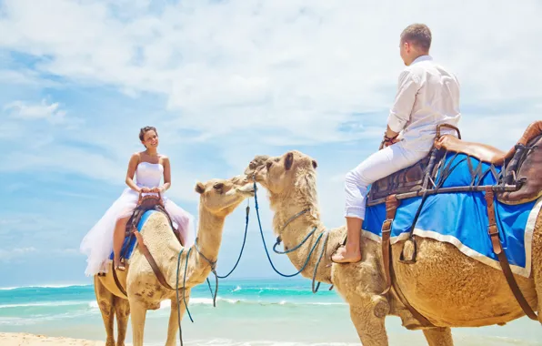 Картинка море, пляж, beach, sea, верблюды, влюбленная пара, camel, couple in love