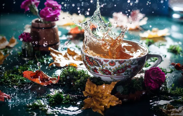 Картинка цветы, чай, чашка, мох, листья, брызги, боке, вода