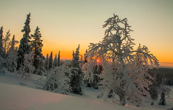 Картинка зима, небо, облака, снег, деревья, закат, Финляндия, Лапландия