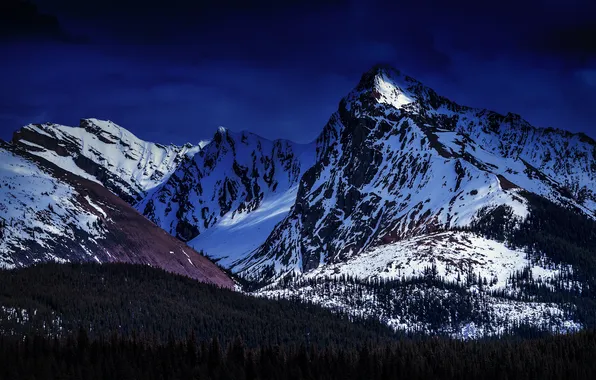 Лес, снег, горы, Alberta, Canada, Maligne Lake