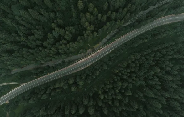Wood, Street, Trees, Daniel Eliashevskyi, Bird View