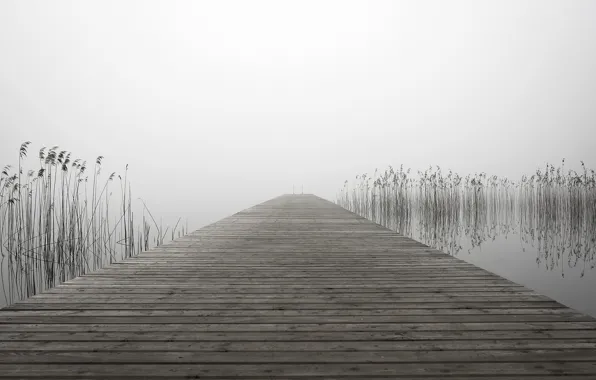 Мост, туман, озеро
