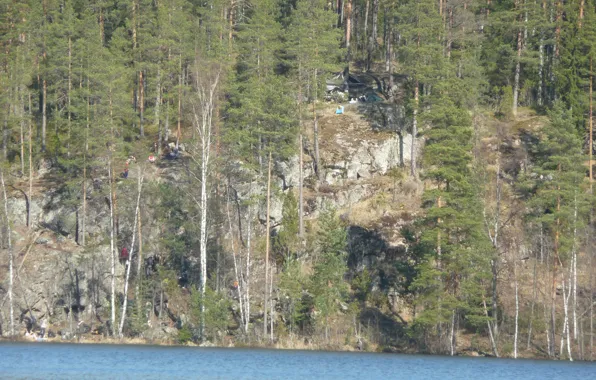 Лес, озеро, карелия