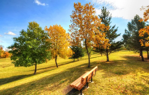 Картинка осень, небо, трава, деревья, парк, скамья