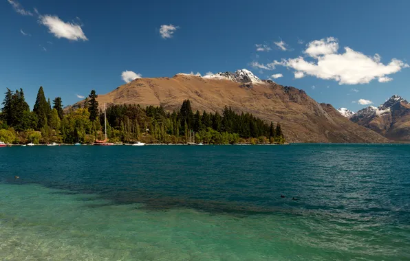 Картинка деревья, горы, озеро, берег, лодки, Новая Зеландия, Wakatipu