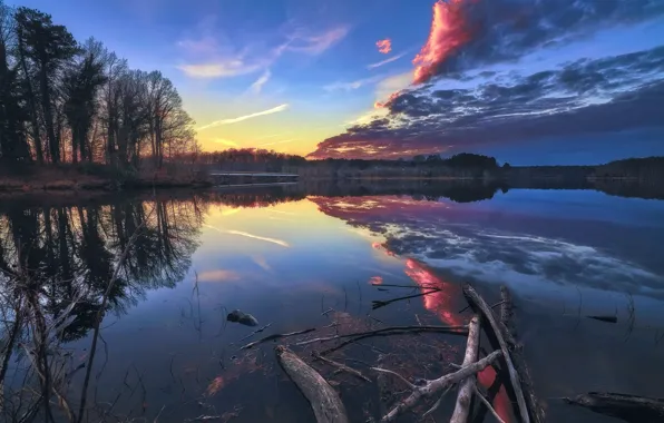 Лес, озеро, утро