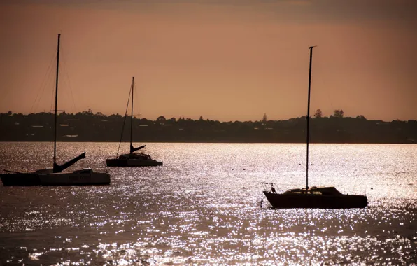 Море, берег, яхты, вечер, sailboats, Aukland