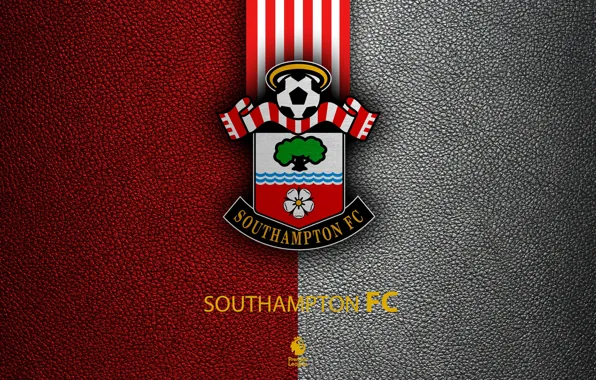 Wallpaper, sport, logo, football, English Premier League, Southampton