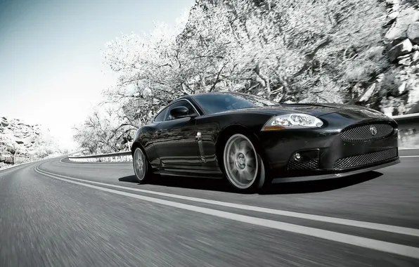 Картинка дорога, деревья, чёрный, в снегу, ягуар, Jaguar XK