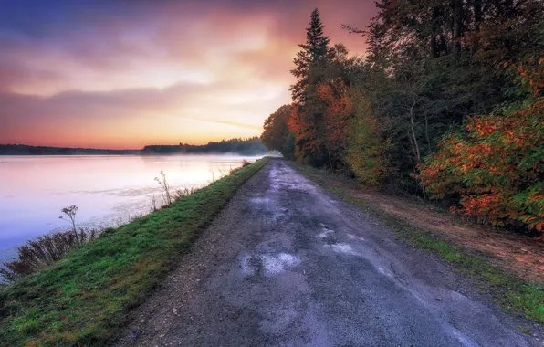 Дорога, осень, туман, река