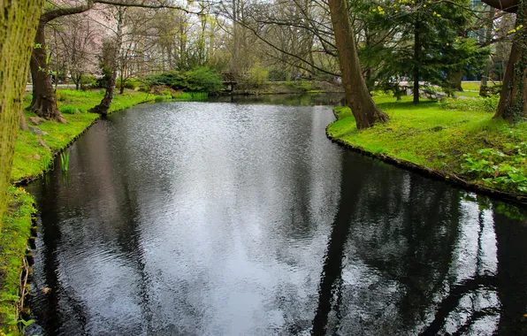 Trees, water, park, pond
