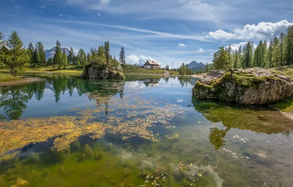 Лес, облака, горы, озеро, пруд, камни, скалы, берег