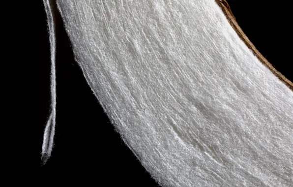 Макро, бумага, фон