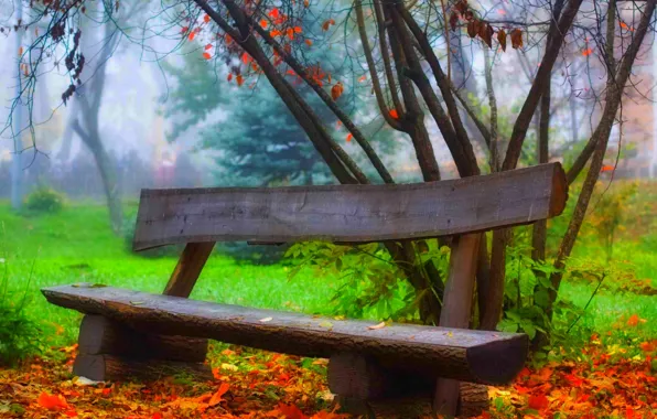 Картинка осень, лес, трава, листья, деревья, скамейка, природа, парк
