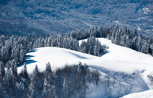 Картинка зима, лес, снег, пейзаж, природа, обои, гора, край