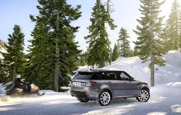 Картинка Зима, Авто, Снег, Лес, Серый, Land Rover, Range Rover, Внедорожник