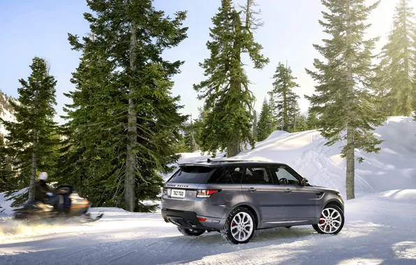 Зима, Авто, Снег, Лес, Серый, Land Rover, Range Rover, Внедорожник