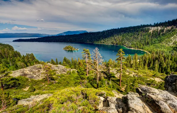 Картинка лес, деревья, горы, озеро, камни, лодки, Калифорния, США