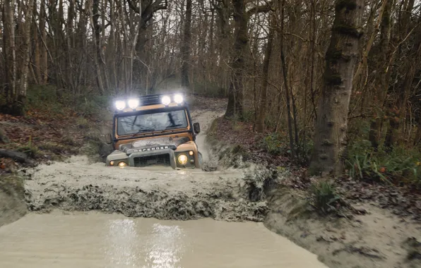 Грязь, Land Rover, Жёлтый, Внедорожник, Defender, Ленд Ровер, 2021, 405 л.с.