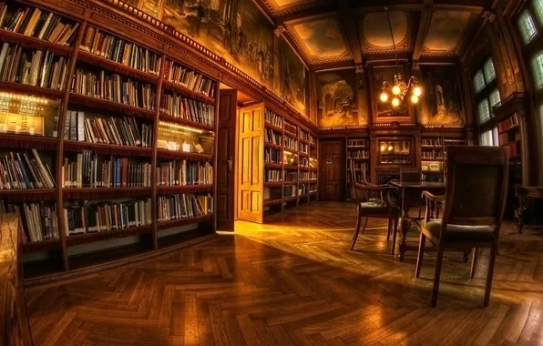 Lights, chair, books, library, shelves, fisheye lens
