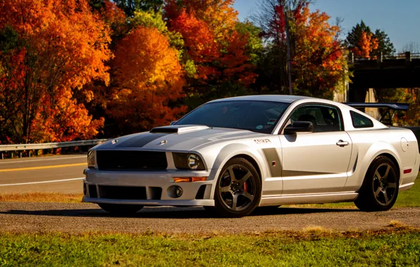 Картинка Mustang, Ford, мустанг, 2012, форд, Roush, 427R