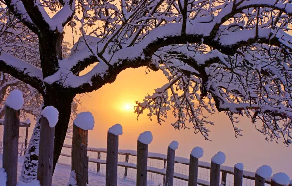 Картинка зима, небо, снег, пейзаж, природа, white, sky, nature