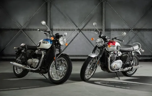 Triumph, T100, bonneville 2017