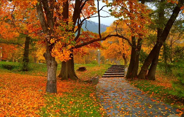 Картинка Осень, Деревья, Парк, Fall, Листва, Park, Autumn, Colors
