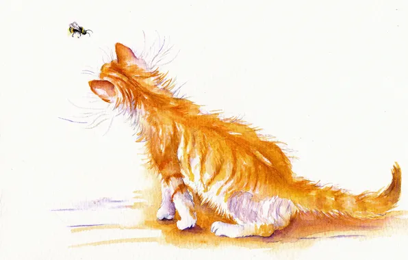 Картинка кошка, кот, акварель, пчёлка