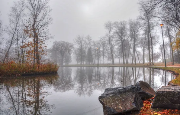 Картинка осень, деревья, туман, пруд, парк, камни