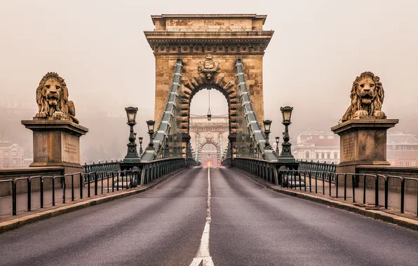 Картинка дорога, город, туман, утро, львы, скульптуры, Венгрия, Будапешт