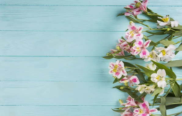 Цветы, фон, голубой, Pink, wood, flowers