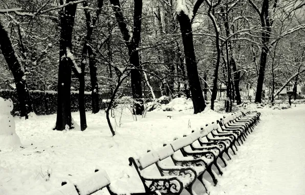 Картинка Зима, Снег, Парк, Winter, Frost, Park, Snow, Скамейки