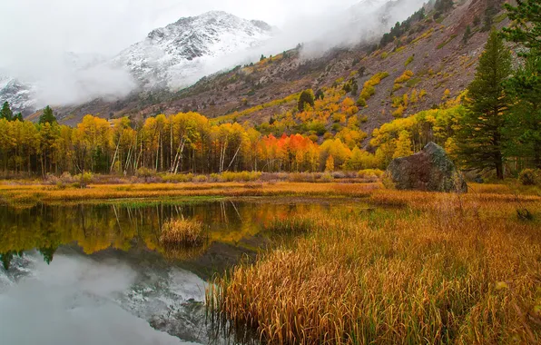 Картинка осень, снег, деревья, горы, озеро, Калифорния, США